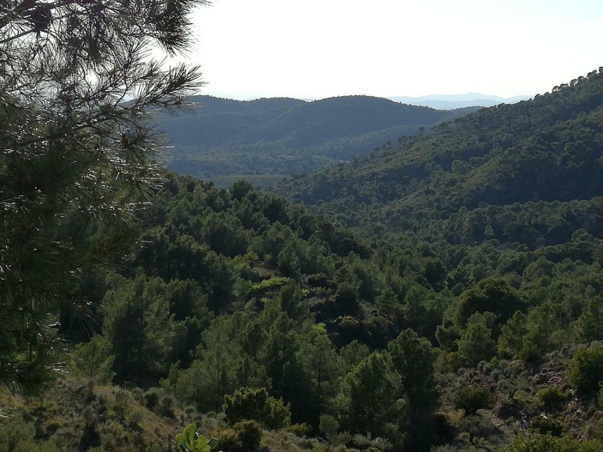 Penzion Ca'Ls Avis Serra Exteriér fotografie